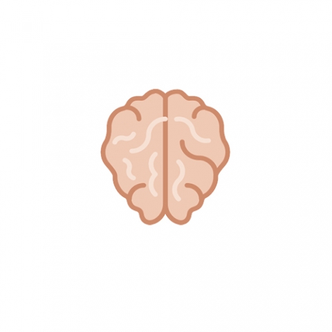 Neurologie...